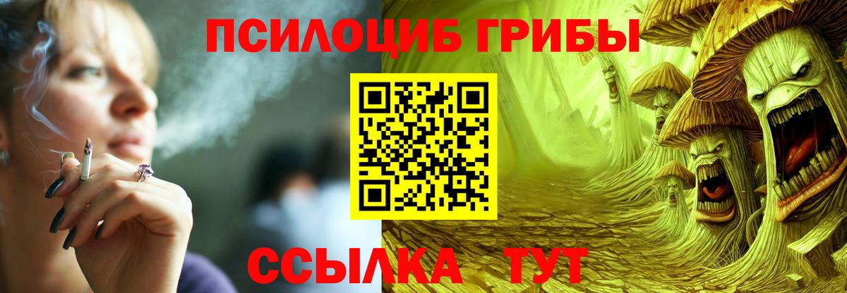 Галлюциногенные грибы Psilocybine cubensis  Вход с VPN  цены наркотик  Отрадное  Псилоцибиновые грибы Magic Shrooms 